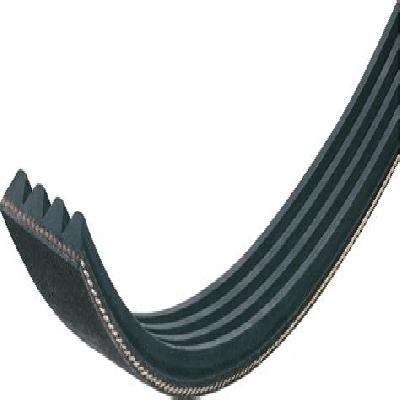 Poly V Belts