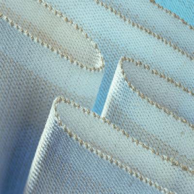 Endless Woven Belts