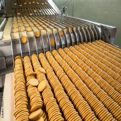 Canvas Biscuit Conveyor Belt Joint