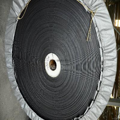Chemical Resistant Conveyor Belt