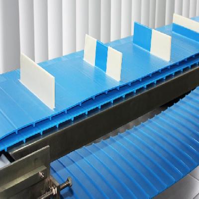 Positive Conveyor Belt