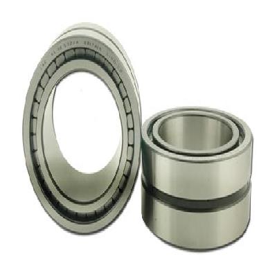 Double Row Cylindrical Roller Bearings