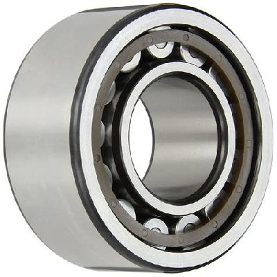 SKF Single Row Full Complement Cylindrical Roller Bearing