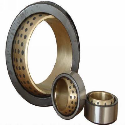 Radial Spherical Plain Bearing