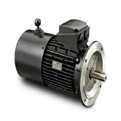 BA Series Brake Motor