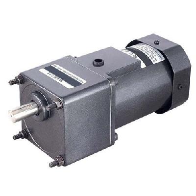FHP Gear Motor