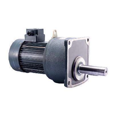 Geared Brake Motor
