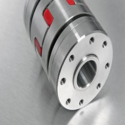 Softex ES No Backlash Couplings