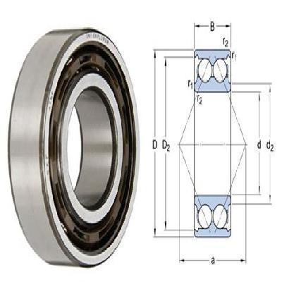 SKF Double Row Angular Contact Ball Bearing