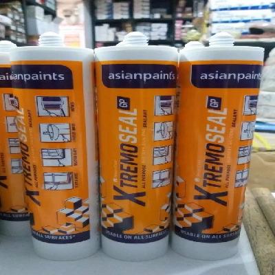 Asian Paint GP Silicone Sealant