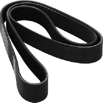 Car Ribbed Belt
