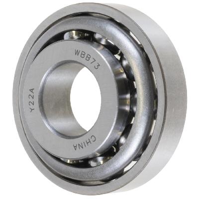 FAG Bearings