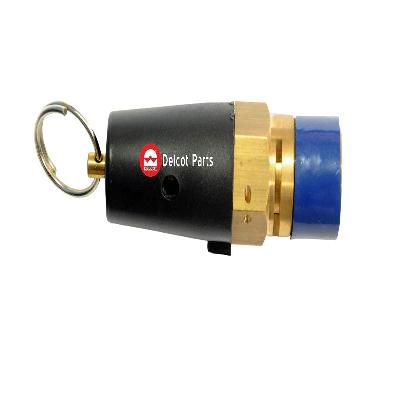 ElGI Type Safety Valve