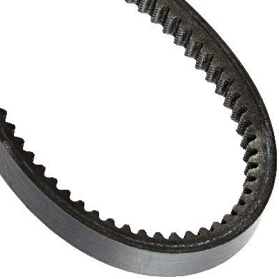 Cogged Belt