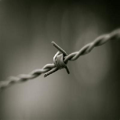 Barbed Wire