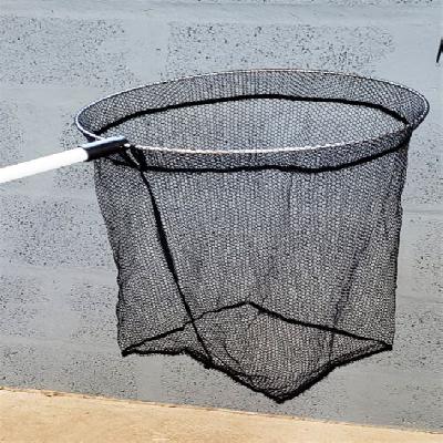 Birds Net