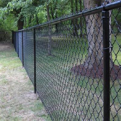 Chain Link Fence
