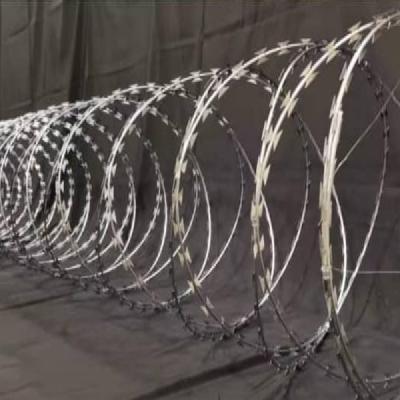 Concertina Wire 600 MM Dia