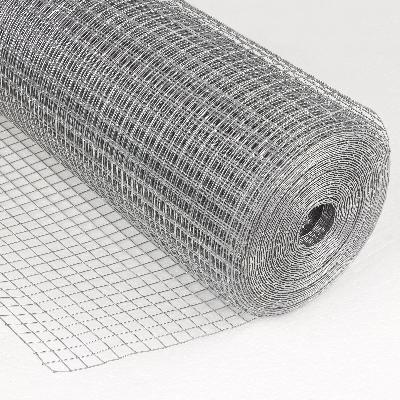 Galvanized Welded Mesh