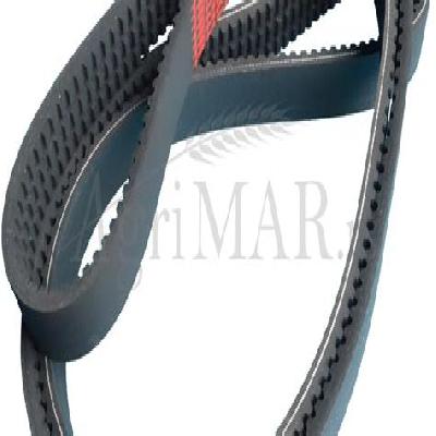 Raw Edge Cogged V Belt