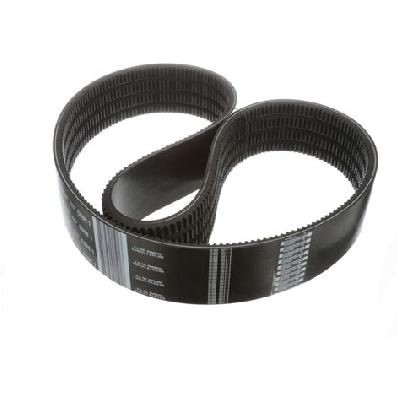 Banded Belt