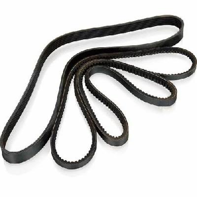 Multi Ribbed Belt