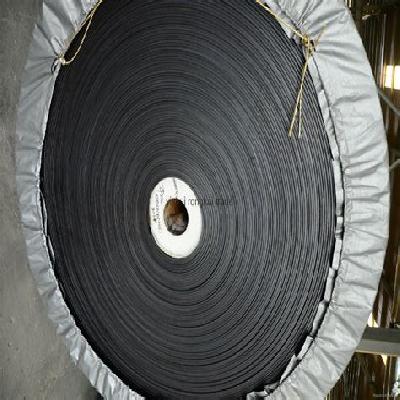 Chemical Resistant Conveyor Belts