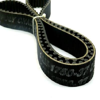 Poly Belt
