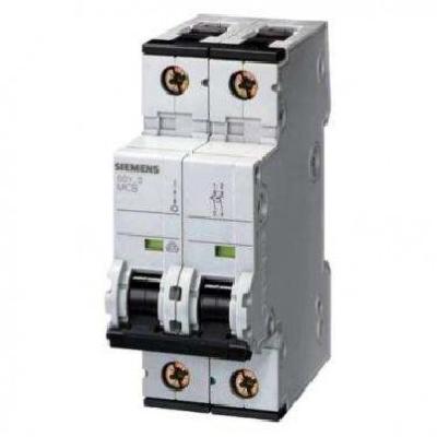 Siemens 5SL62067RC 6 A Two Pole MCB