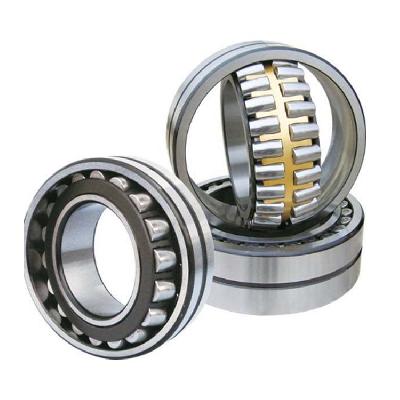 Multi Row Spherical Roller Bearing 313891