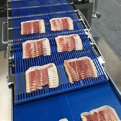 Food Conveying Belt
