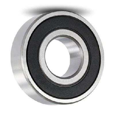 6201 6202 ZZ Bearings
