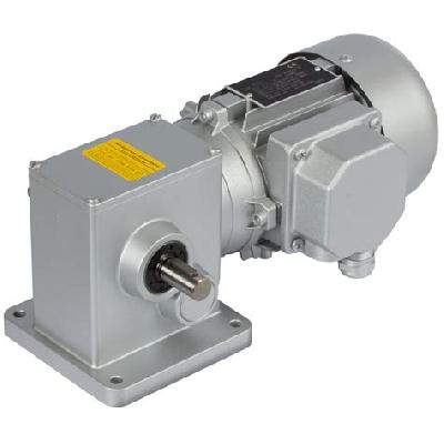 Helical Worm Geared Stepper Motors