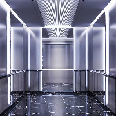 Stainless Steel Automatic Passenger Elevator