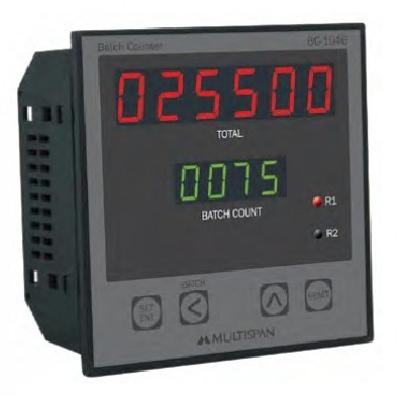 Multispan Counter