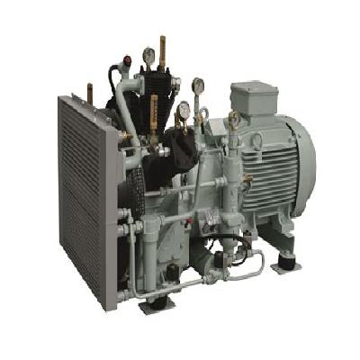 Air Cooled Air Compressor