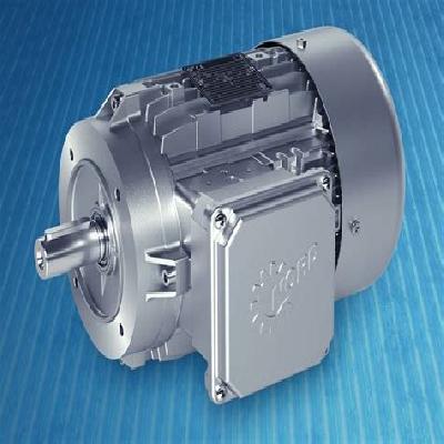 Single Phase AC Synchronous Motor