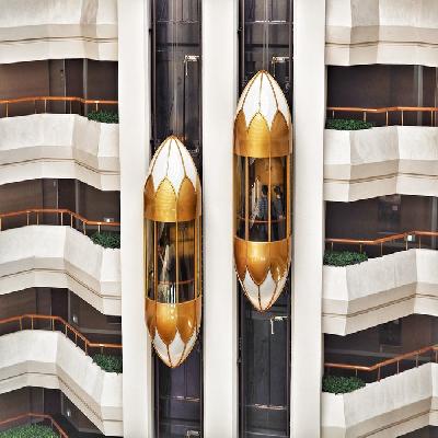 Stainless Steel Capsule Elevator