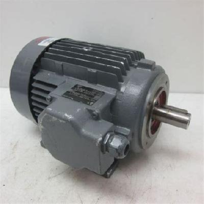 3 Ph. Motor