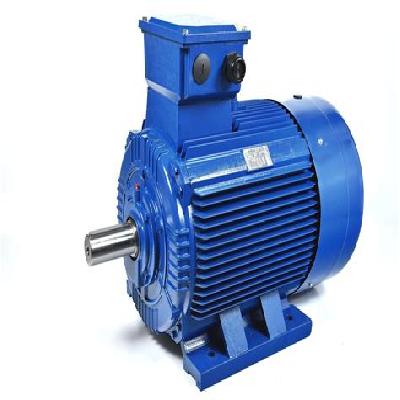 3 Phase Motors Rolled Steel Body