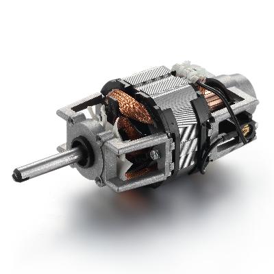 Domestic Appliances Motors