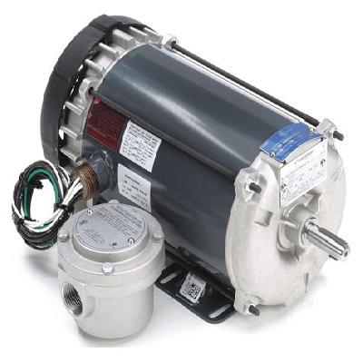 Motors For Hazardous Areas HV