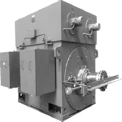 High Voltage Motors
