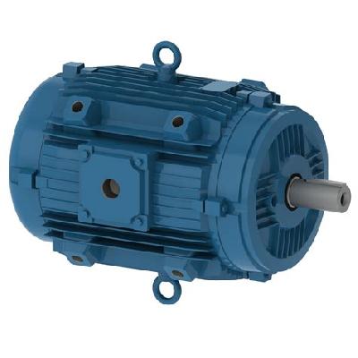 Special Application Motors