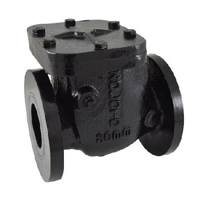 Cast Iron Non Return Valve (flanged) Zoloto Make