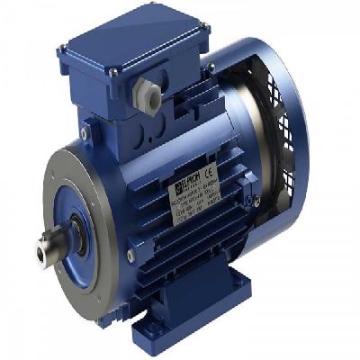 Electromagnetic Brake Motor