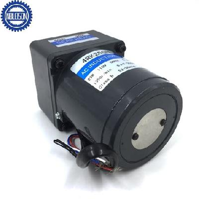 Reversible Motor