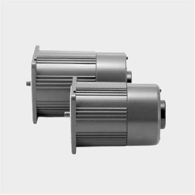 Variable Speed Electromagnetic Brake Motor