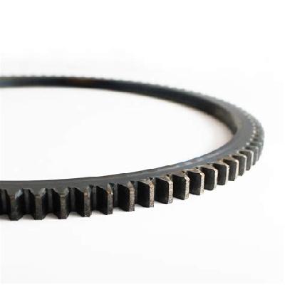 Fly Wheel Ring Gear DI