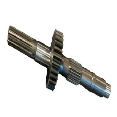Tooth Shaft